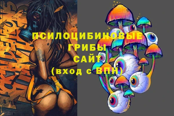 дживик Белокуриха